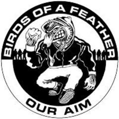 Birds Of A Feather - Our Aim Button