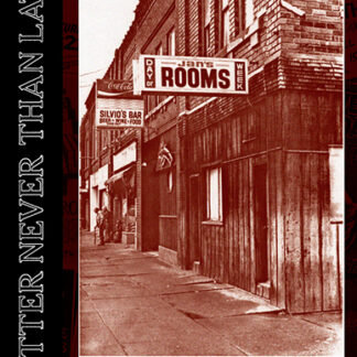 Better Never Than Late "Midwest Hardcore Flyers And Ephemera 1981-1984" Buch