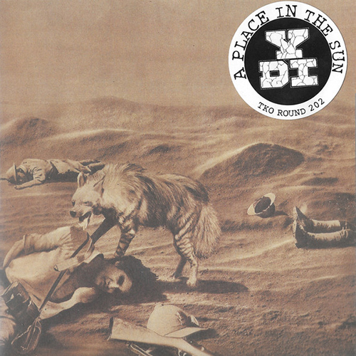 YDI - A Place In The Sun 7"