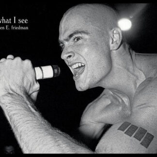 What I See: The Black Flag Photographs Of Glen E. Friedman Buch